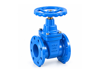 Resilient Seated Gate Valve