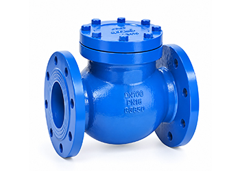 Check Valve