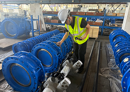 Morocco Municipal Water Supply Project